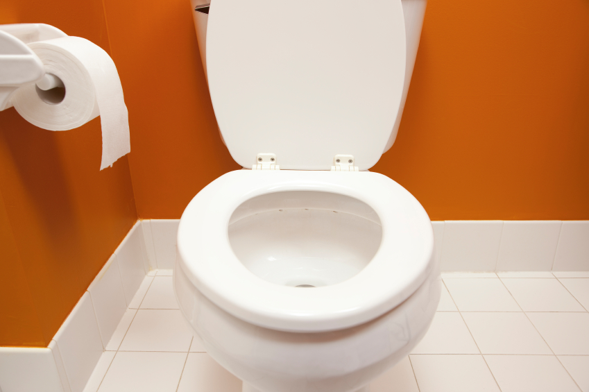 Clogged Toilet Clear Your Toilet Blain's Farm & Fleet Blog