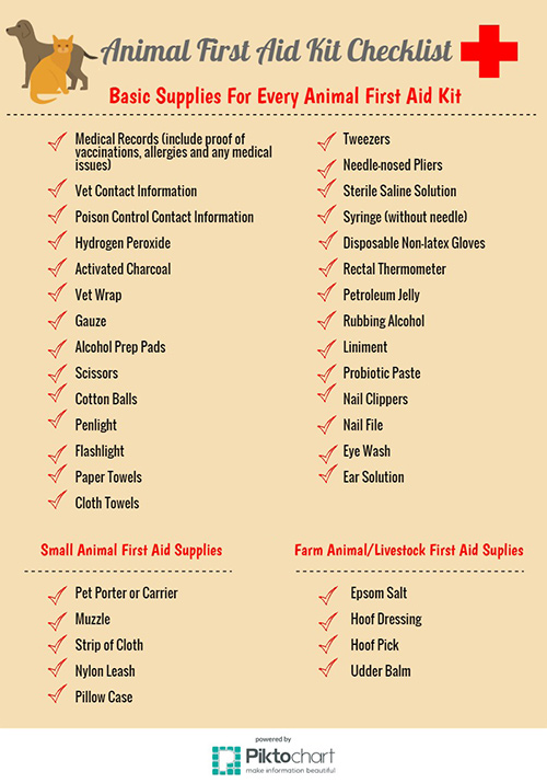 Pet First Aid Kit For Dogs | Camping equipment at good prices