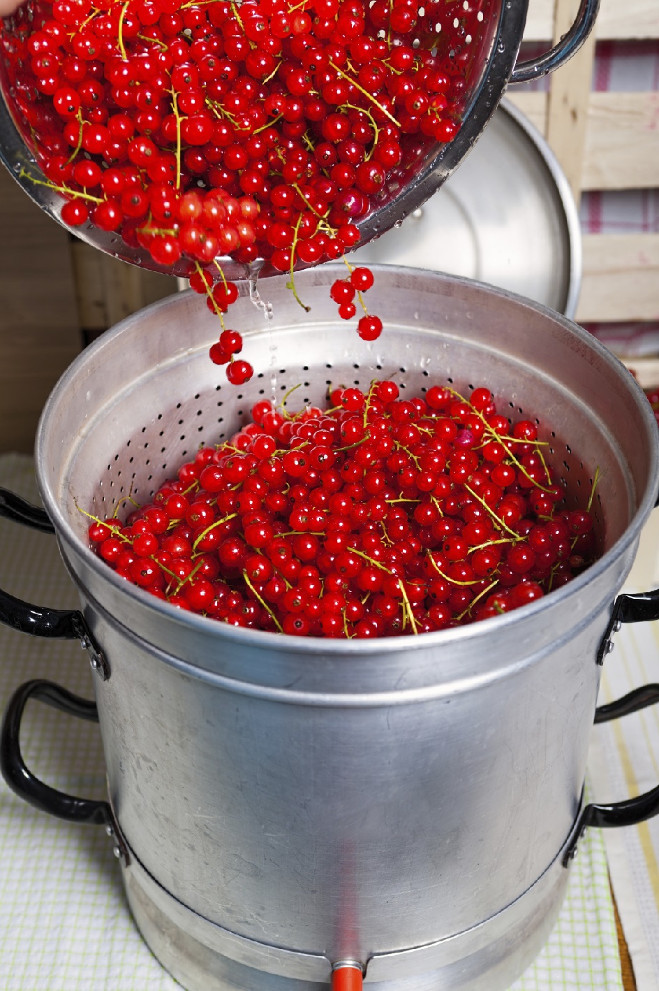 How to Use a Steam Juicer for Canning Blain's Farm & Fleet Blog