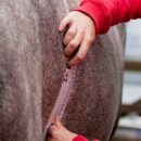 Weighing Your Horse Without a Scale