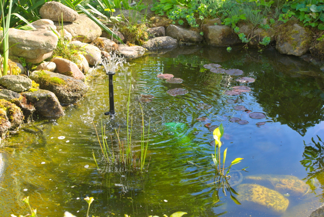 Diy Pond Maintenance Blain S Farm Fleet Blog