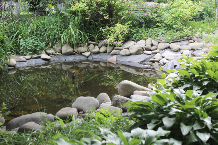 Diy Pond Maintenance Blain S Farm Fleet Blog