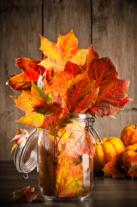 Decorating Ideas > DIY Fall Mason Jar Crafts Blains Farm & Fleet Blog ~ 133107_Thanksgiving Jar Decorations Decorating Ideas > DIY Fall Mason Jar Crafts Blains Farm & Fleet Blog ~ 133107_Thanksgiving Jar Decorations
