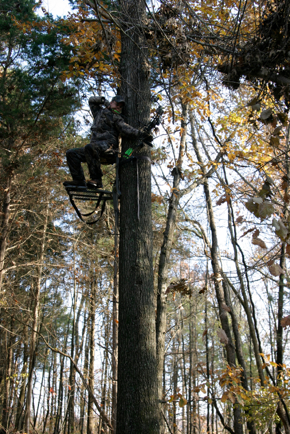Hunting Tree Stand Placement Tips Blain S Farm Fleet Blog Where To Hang Your Hunting Tree Stand