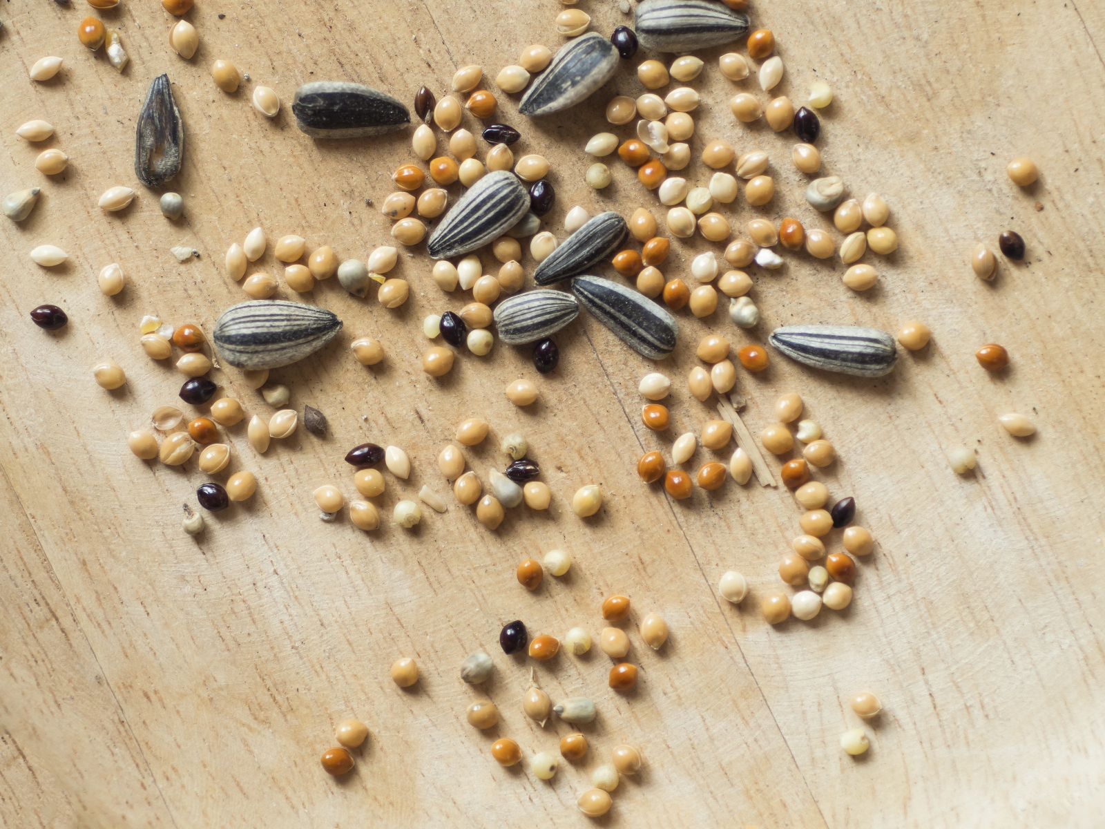 Tips For Proper Bird Seed Storage Blain S Farm Fleet Blog
