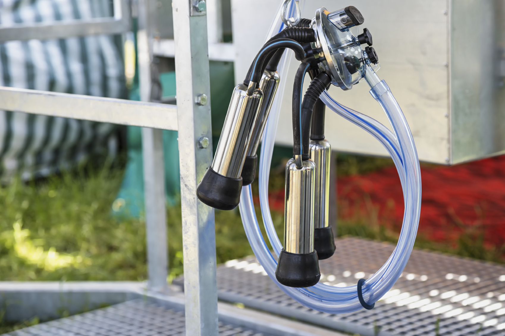 How to Clean Dairy Equipment Blain's Farm & Fleet Blog