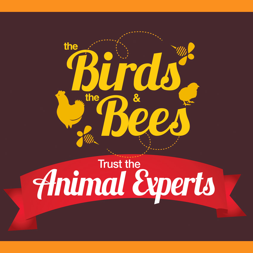 With Bee Experts At Select Blain S Farm Fleet